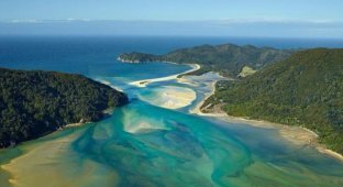 В Новой Зеландии при помощи краудфандинга выкупили частный пляж, чтобы сделать его общественным (7 фото)
