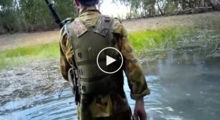 В Австралии огромный крокодил попытался атаковать двух мужчин, охотившихся на кабанов