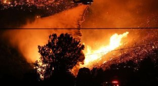 Пожары в Калифорнии 2020 (16 фото)