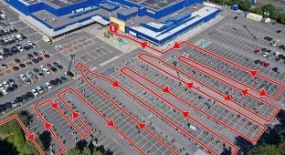 Открытие магазинов ИКЕА в Великобритании привело к гигантским очередям (16 фото)