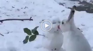 Заяц съел нос у снеговика