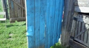Как не стоит красить гаражные ворота (2 фото)