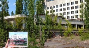 20 фотографий из Чернобыля, которые показывают, как природа восстанавливает заражённую землю (20 фото)