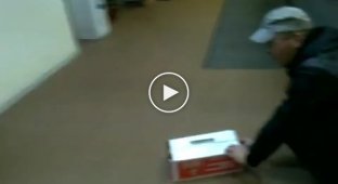 Кот любит коробки