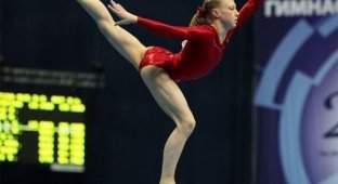 Некоторые факты о спортивной гимнастике (10 фото)