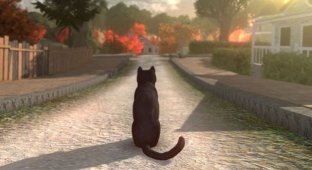 В сети появились кадры и видео из компьютерной игры про котов. Да, управлять нужно будет котами! (7 фото + 1 видео)