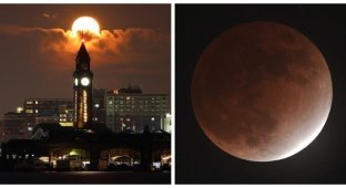 Каким увидели затмение луны 19 ноября в разных частях света (20 фото + 1 видео)