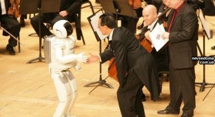 Робот Asimo способен дирижировать оркестром! (4 фото)