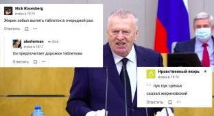 Реакция на реакцию Жириновского, высказавшегося о Навальном (21 фото + 1 видео)