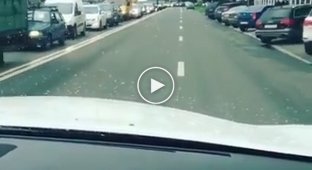 Барыня опаздывает. Ваенга опубликовала в инстаграме видео своего автохамства на дороге