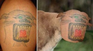 29 худших татуировок, которых вы когда-либо видели (29 фото)