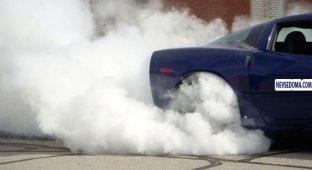 Как правильно спалить резину на авто (20 фото)