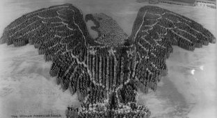 1917-1918 годы: Масштабные групповые патриотические фотографии Артура Мола (14 фото)