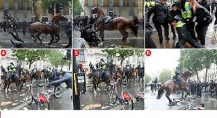Столкновения в Лондоне: демонстранты против лошадей (9 фото + 3 видео)