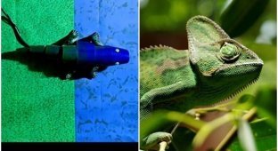 Ученые создали уникального робота-хамелеона (5 фото + 1 видео)