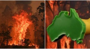 Секс-шоп Австралии создал дилдо для борьбы с пожарами (4 фото)