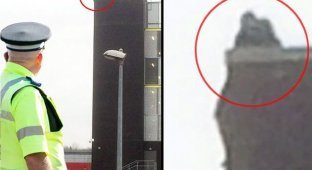 В Великобритании толпа помогла мужчине спрыгнуть с крыши (2 фото)