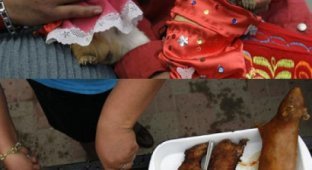Фестиваль морской свинки в Перу (15 фото)