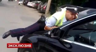 Беременная женщина на машине депутата ЕР сбила полицейского (фото + видео)