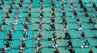 Массовая йога в Ахмадабаде (6 фото)
