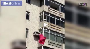 В Бразилии спасли собаку, которая выпала с 6-го этажа здания