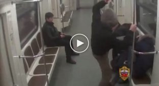 Московские полицейские задержали несовершеннолетних скинхедов, избивших в метро мигрантов