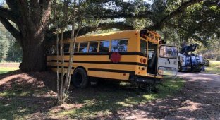 В США 11-летний мальчик угнал школьный автобус (3 фото + 2 видео)