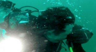 Опасное погружение: дайвер спас друга, оставшегося без кислорода на глубине 30 м (5 фото + 1 видео)