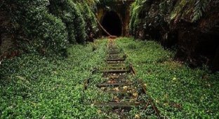Заброшенный тоннель в Хеленсбурге, Австралия (4 фото)