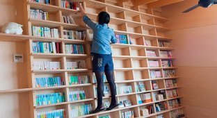 Японский архитектор спроектировал дом с библиотекой, которой не страшны землетрясения (8 фото)