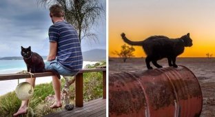 Парень уже три года путешествует по Австралии со своей кошкой (20 фото)