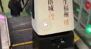 Суицид китайского робота