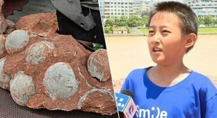 В Китае мальчик нашел яйца динозавра возрастом 66 миллионов лет (7 фото + 1 видео)