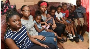 Безработная семья мигрантов с 8 детьми отказалась от дома, так как в нем не было столовой (9 фото)