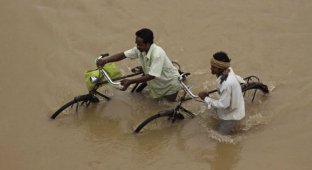 Наводнение в Индии и Пакистане (41 фотография)