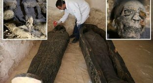 Египтяне обнаружили 40 мумий в древних гробницах Эль-Миньи (3 фото)