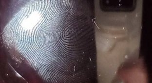 Как при помощи 3D-принтера обмануть датчик отпечатков пальцев на Samsung Galaxy S10 (5 фото + видео)