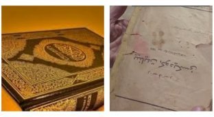 Пожилая башкирка много лет принимала Уголовный Кодекс за Коран (4 фото + 1 видео)