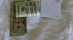 Чтобы загладить свою вину, постоялец оставил горничной $100 на чай (2 фото)