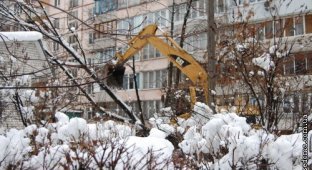 В Киеве, на машину упало дерево изза большых осадков (35 фото)