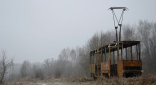 Заброшенные трамваи (28 фото)