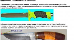 Какое оружие можно носить с собой для самообороны (11 фото)