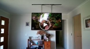 Выдвижной потолочный телевизор 