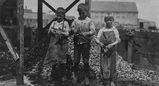 Юные работники рыбных заводов США в начале XX века (23 фото)