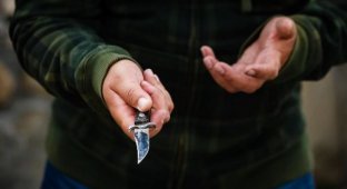 Как не надо себя вести при ограблении с ножом (1 фото)