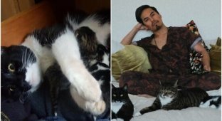 Парень обнаружил под кроватью кошку с котятами, а сейчас они - большая семья (7 фото)