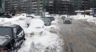 Автовладельцев обязали убирать улицы (12 фото)
