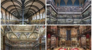 Самые красивые библиотеки мира (20 фото)