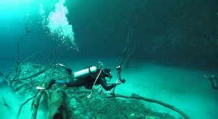 Мистическая подводная река в Мексике (6 фото)