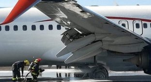 Необычное происшествие во время приземления пассажирского самолета (2 фото)